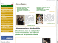 castillodesandiego.com