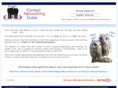 cnetdubai.com