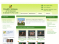 creditunions.org