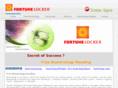 fortunelocker.com