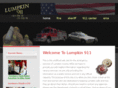 lumpkin911.org