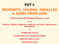 pdtsigns.com