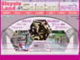 bl-sakatani.com