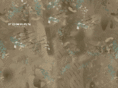 foxray-tactical.com