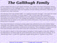 gallihugh.com