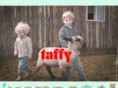 taffy8.com