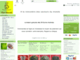 the-shenti.fr
