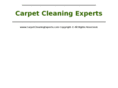 carpetcleaningexperts.com