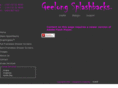 geelongglasssplashbacks.com