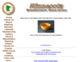 mnwoodturners.com