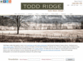 toddridge.com