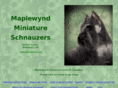 maplewyndminiatureschnauzers.com