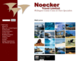 noeckertravel.com