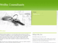 welfinconsultants.com