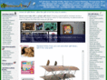 adamsonarts.com