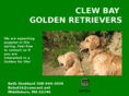 clewbaygoldens.com