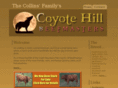 coyotehillbeefmasters.com