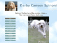 darbycanyonspinone.com