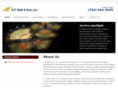 efbelkelectric.com