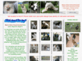 mansbestfriendkennel.com