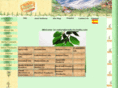 naturalproducts-india.com