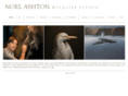 noelashton.com