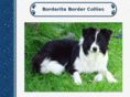 bordaritabordercollies.com
