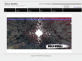 moldworks.org