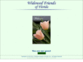 widowedfriendsofflorida.com