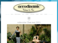 aerodinamic.com