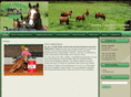 crosscountryhorses.com