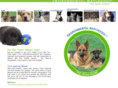 environmentalwatchdogs.net