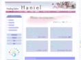 hs-haniel.com