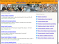 nyssenate.com