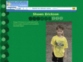 shawnerickson.com