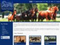 southerncrossstud.com
