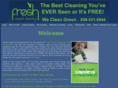 bestcleaningever.com