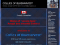 colliesofblueharvest.com