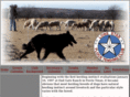 lonestartending.org