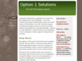 option1solutions.com