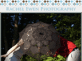 rachelewen.com