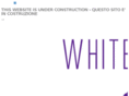 whitevolution.com