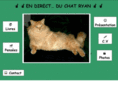 chat-ryan.org