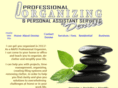 deniseorganizes.com