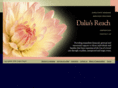daliasreach.org