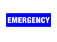 emergencygallery.com