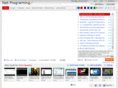netprograming.com
