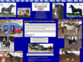 nistarwelshpony.net
