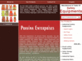 pravinasafetyequipment.com