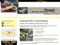 browardprofessionalcardetail.com
